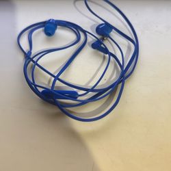 PHILIPS Big Bass in Ear Headphones with Mic - Blue