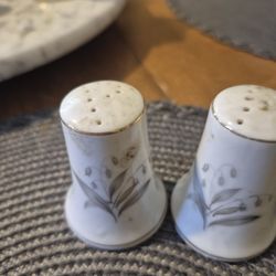 Kayson Japan Fine china salt and pepper shakers