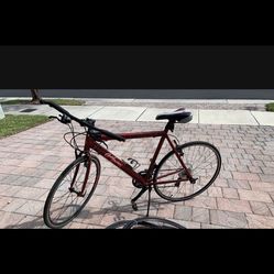 Road Bike