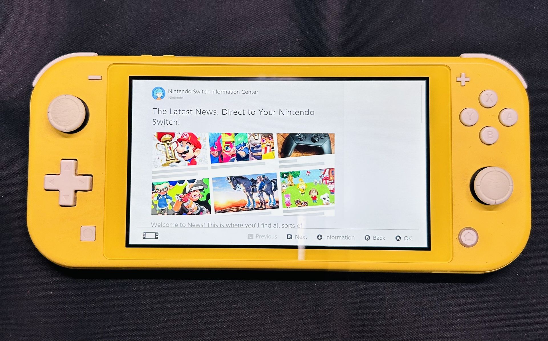Nintendo Switch Lite
