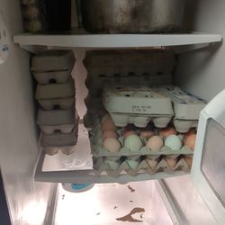 Chicken And Duck Eggs (Look At Details)