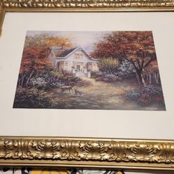 Nicky Boehme Framed Print 