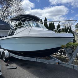 2006 Angler 204 Walk Around