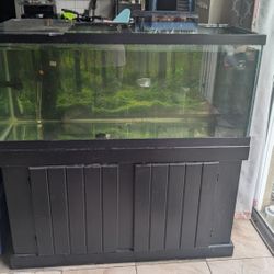 Fishtank With Furniture