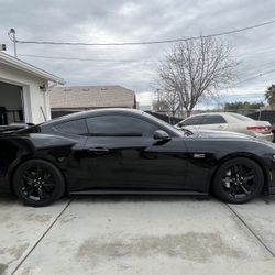 2024-2026 S650 Mustang Rims