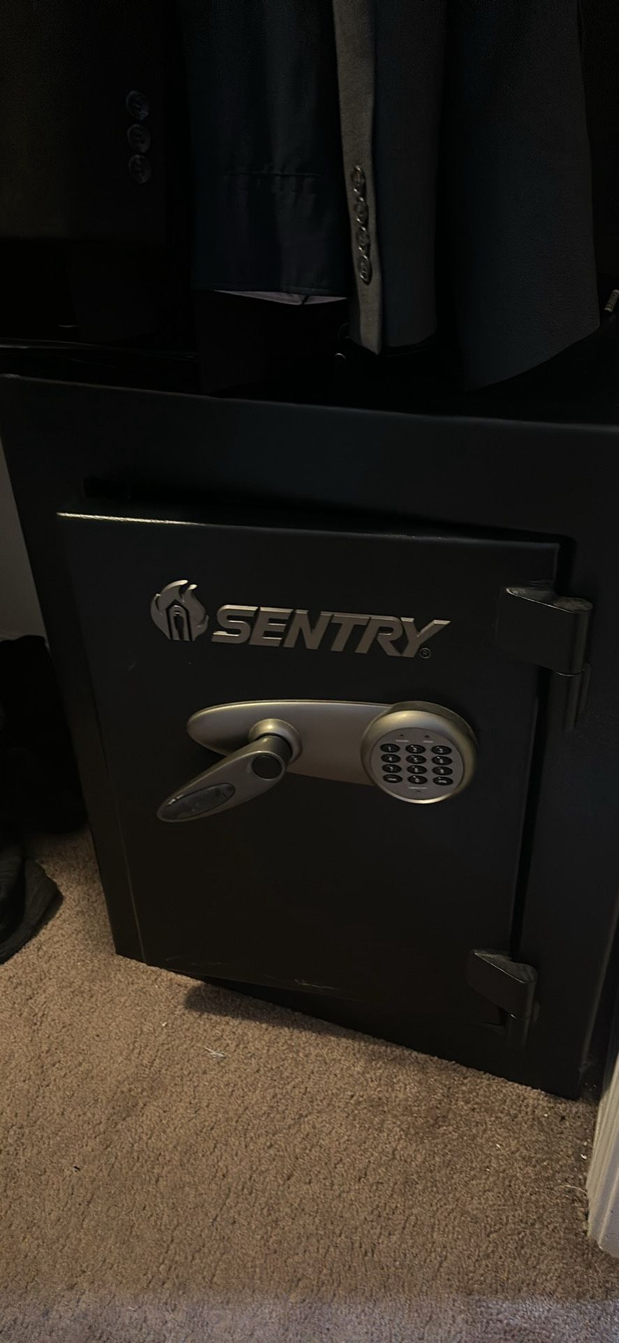 Large Sentry Safe
