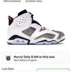 Jordan 6 Retro Flight Nostalgia SIZE 10.5
