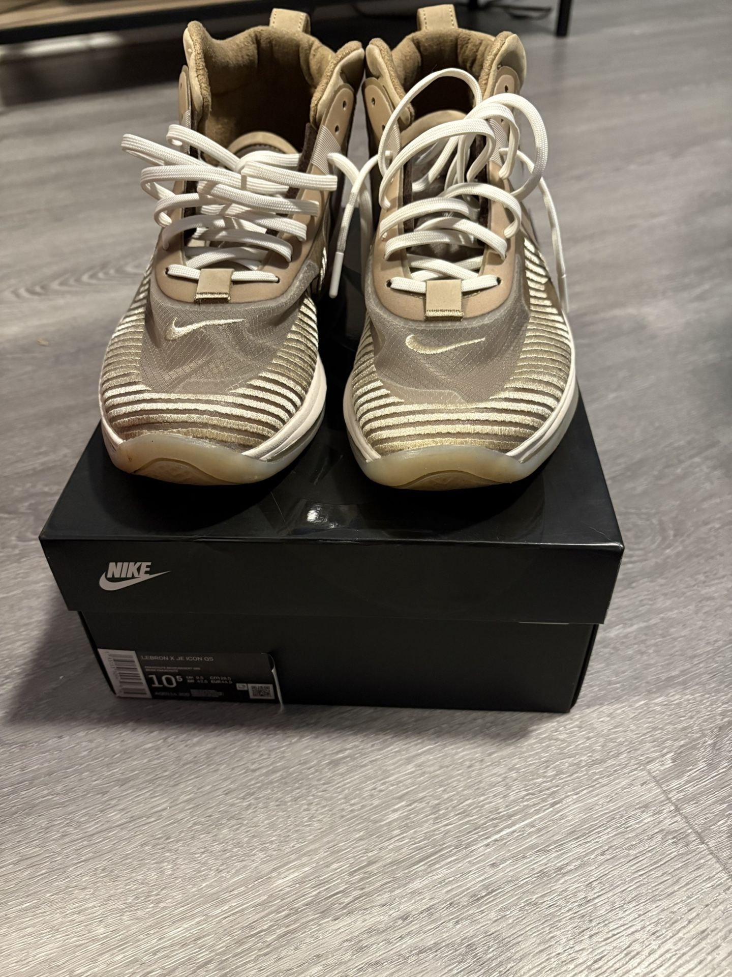 LeBron X JE ICON QS