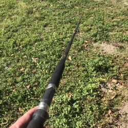 2 Penn Special Boat Spinning Rods