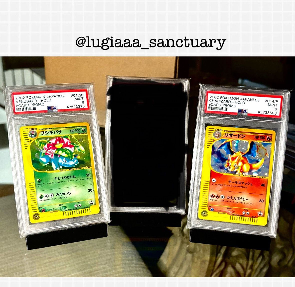 Pokemon  eCard Lottery Japanese Holo Promo Lot PSA 9 Mint