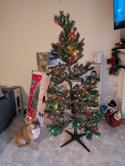 6ft Lit Christmas Tree