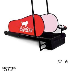 Full Size Dog Pacer Treadmill, Black and Red
