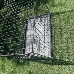 Dog Crate