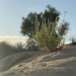 1997 NBA And NFL Collection Cards All Teams