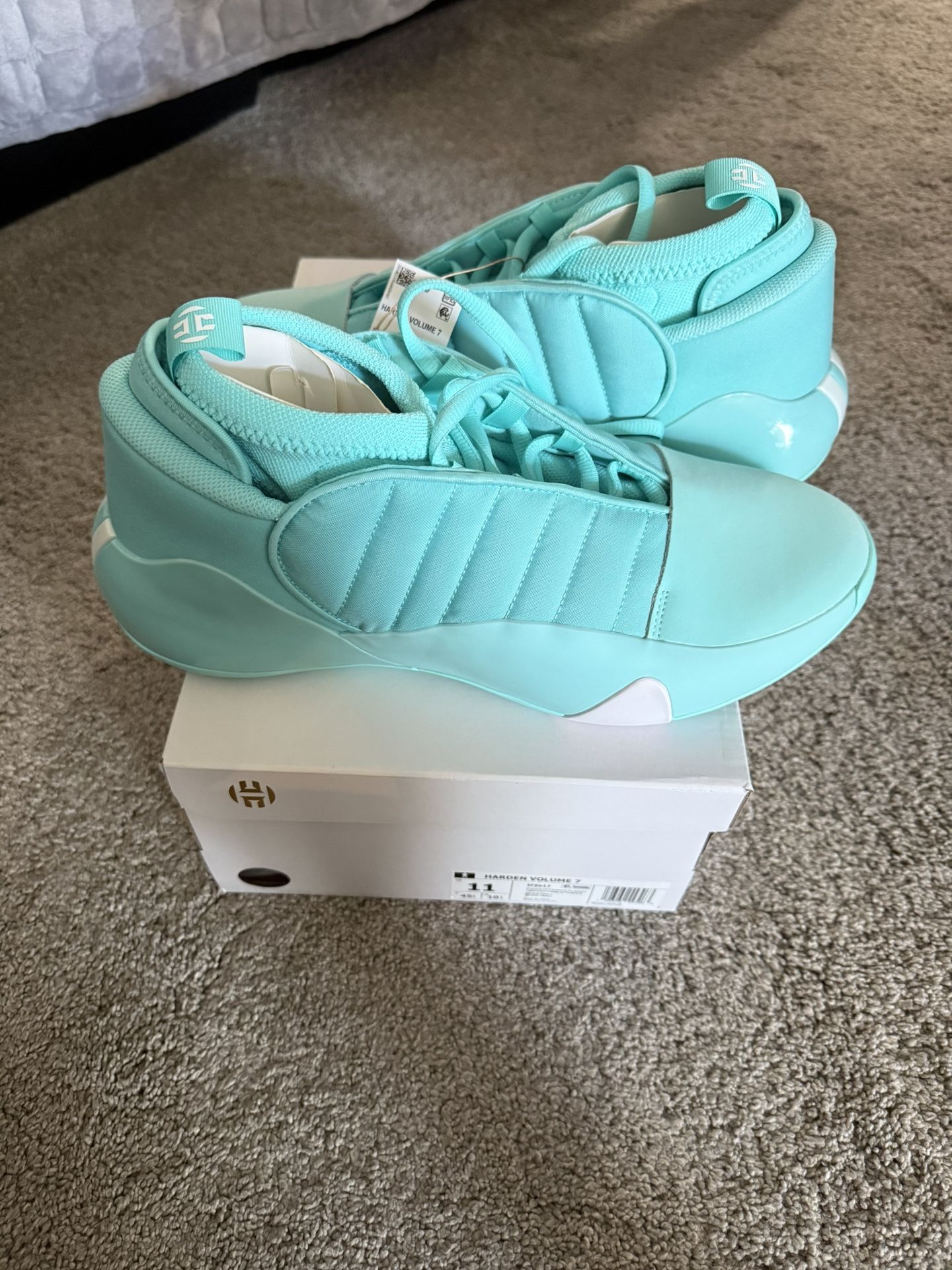 Harden 7