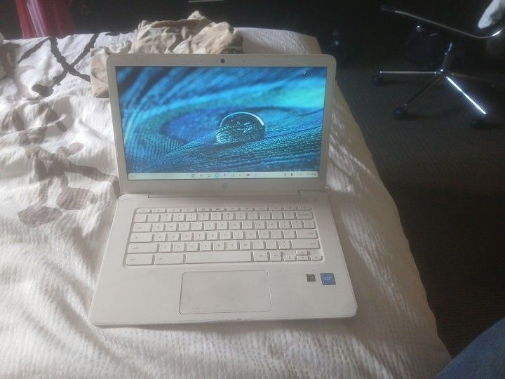 Hp Chromebook