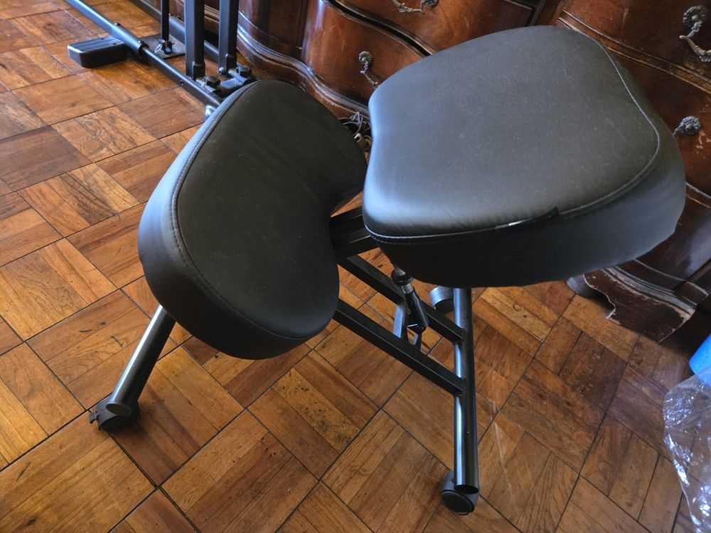 Ergonomic Chair/Stool