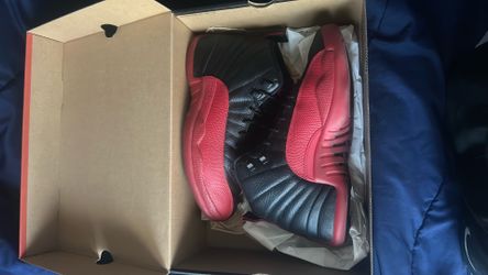 Jordan 12 flu game