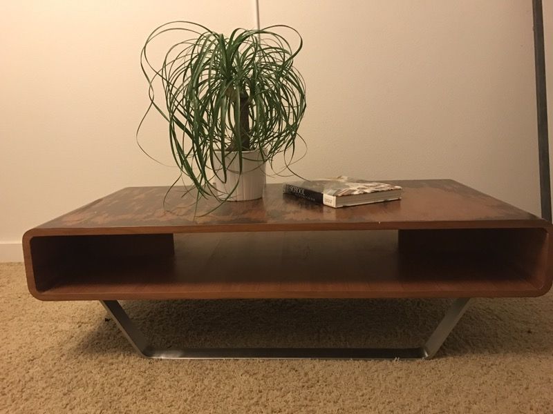 Baptisia coffee table online
