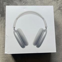Apple Headphones 