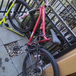 Adult Mountain Bike