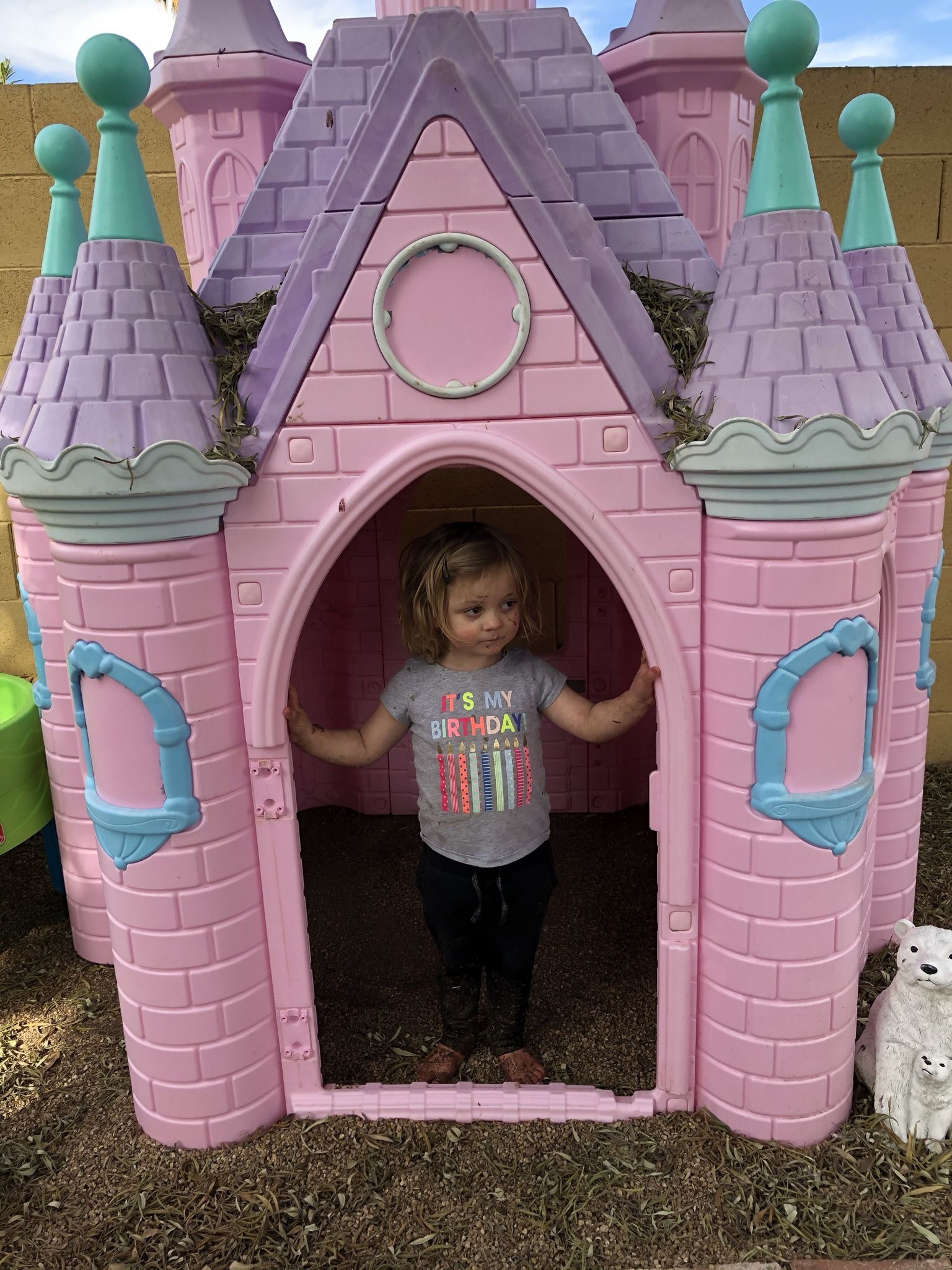 Castle Playhouse Amazon Childrens Playhouse Backyard Castle