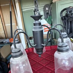 4-Light Chandelier Black Farmhouse Ceiling Light Fixture Glass Shades