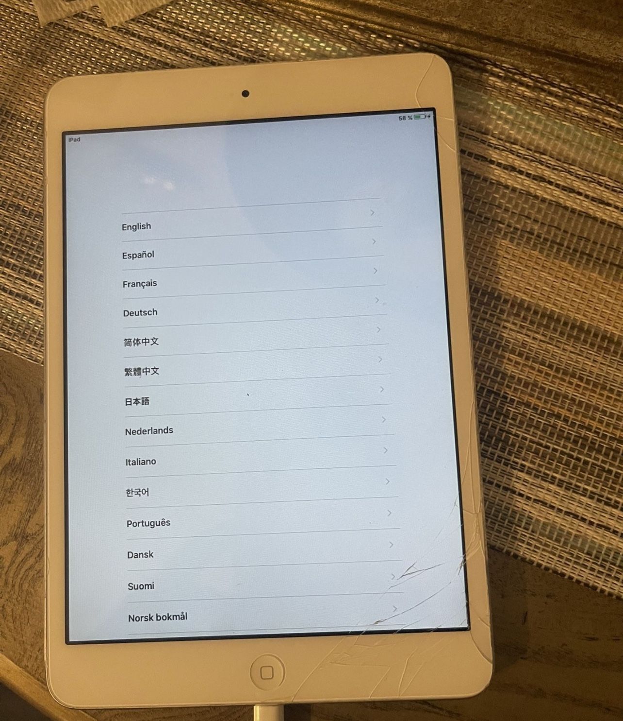 iPad Mini