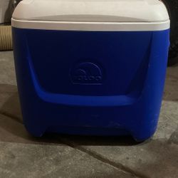 Small Igloo Cooler On Wheels 