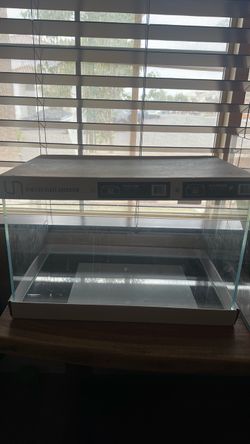 Rimless glass fish tank