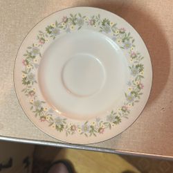 Tea Cup Dishes