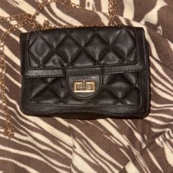 purse with chain