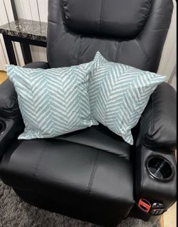 Aqua Zebra print pillows