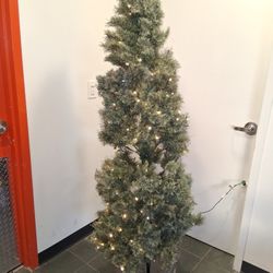 7 Ft  Cashmere Urn Tree