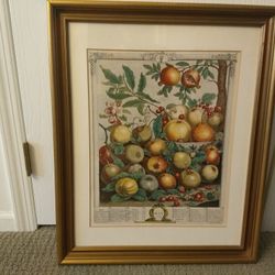 Colorful Framed / Matted Prints