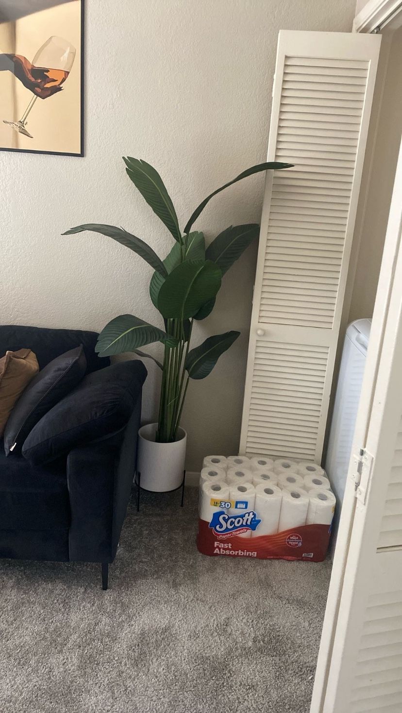 Decor Plant & Heavy Duty Planter