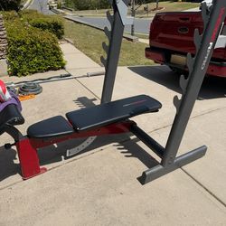 Weider Pro Bench Press!!!   Chest machine too!