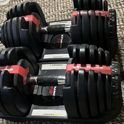 Bowflex Dumbbells 