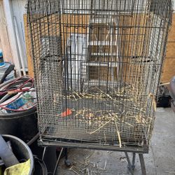 Large Bird Cage