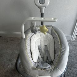Graco Sway2Me Portable Baby Swing and Bouncer