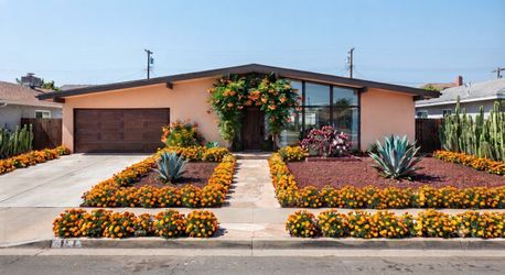 3 Agave, 2 Cactus, 1 Flower bundle