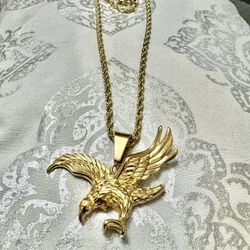 Stainless Steel Eagle 🦅 Pendant With Rope Chain 