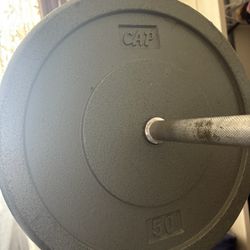 Weight Plates 50 Pounds (2)
