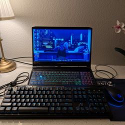 Acer Predator Triton 300