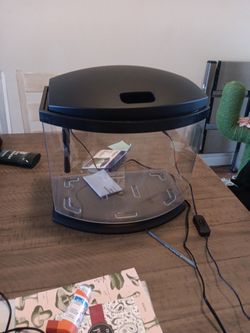 5 Gallon Aquarium