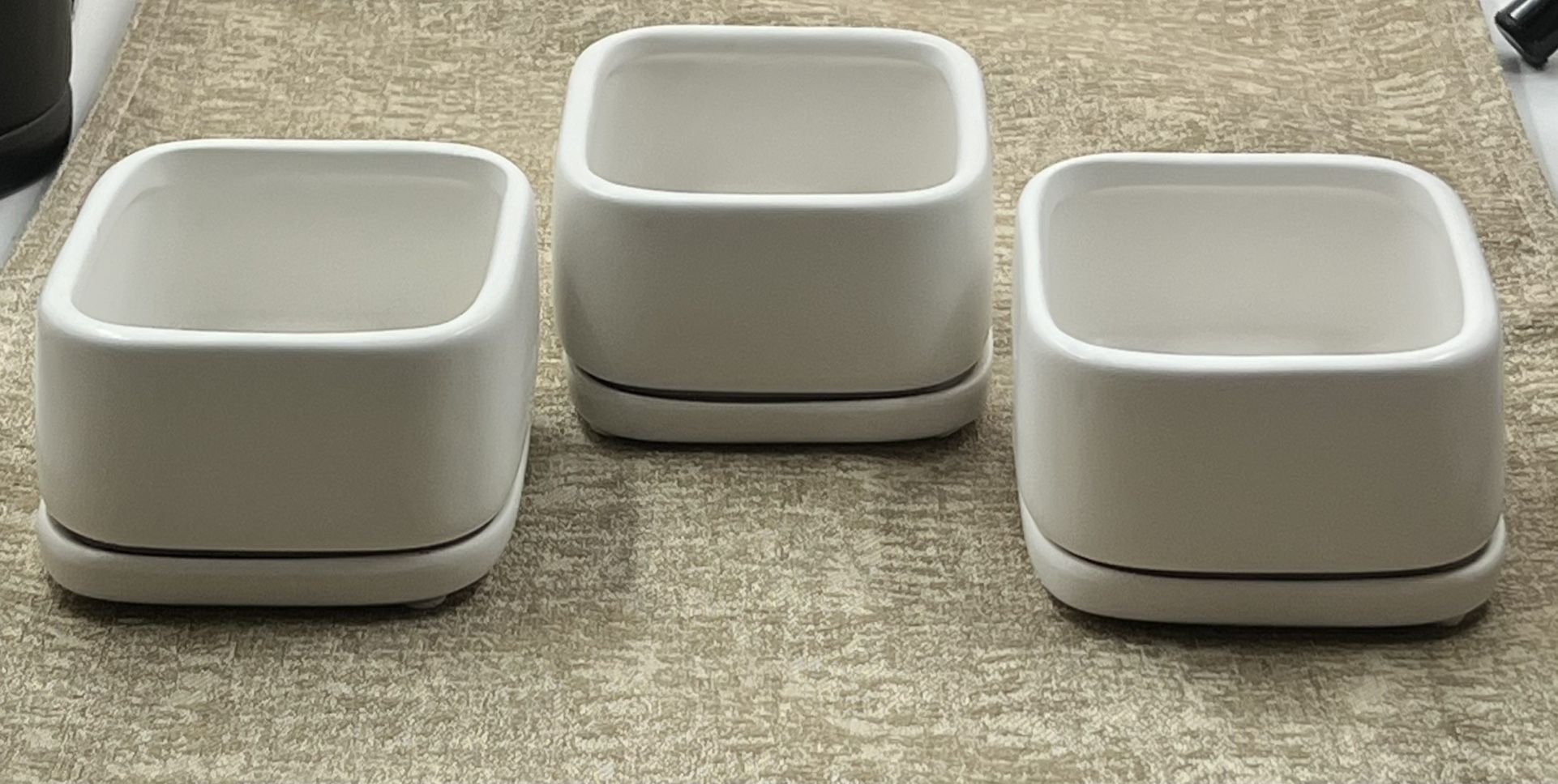 Set Of 3 Succulent Ceramic Pots 3”
