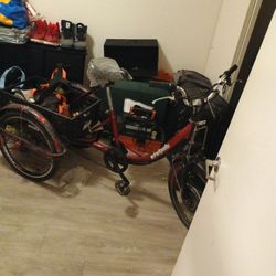 EWheels EW-29 Electric Pedal Trike
