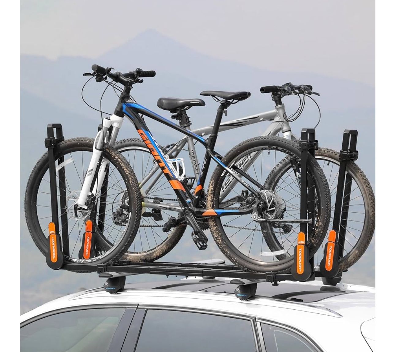 2 Bike Roof Rack