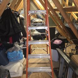 6 Ft Ladder