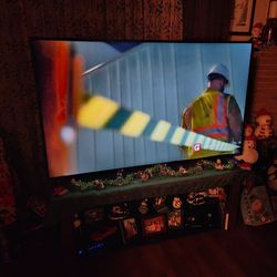 65 Inch Sceptre Smart TV Works Great 